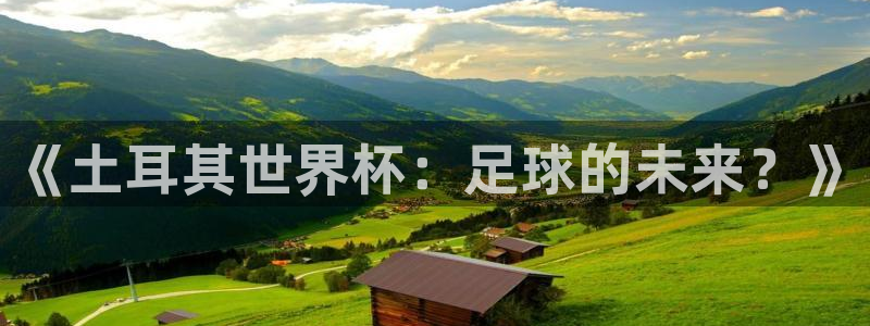 世界杯 直播：《土耳其世界杯：足球的未来？》