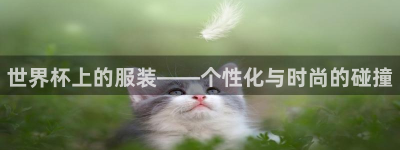 2026年足球世界杯赛程时间表：世界杯上的服装——个性化与时尚的碰撞