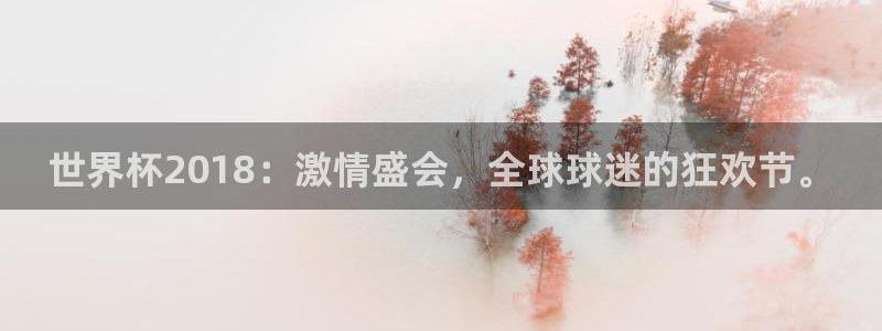 2026世界杯赛制：世界杯2018：激情盛会，全球球迷的狂欢节。