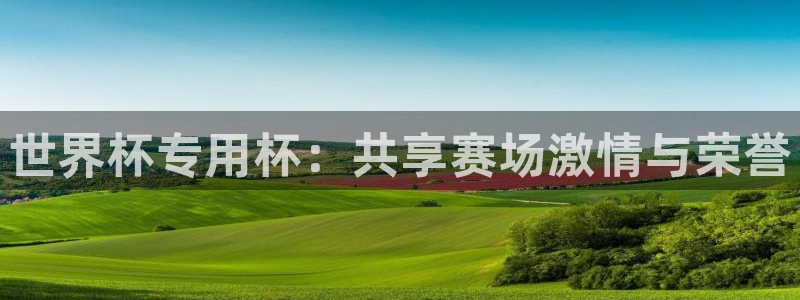 世界杯足球赛2026：世界杯专用杯：共享赛场激情与荣誉