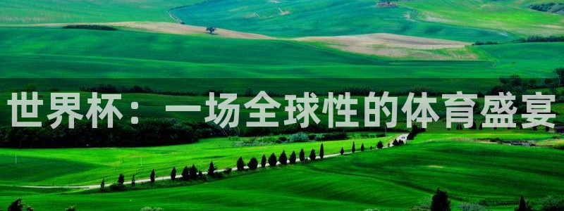 2026年世界杯直播平台：世界杯：一场全球性的体育盛宴