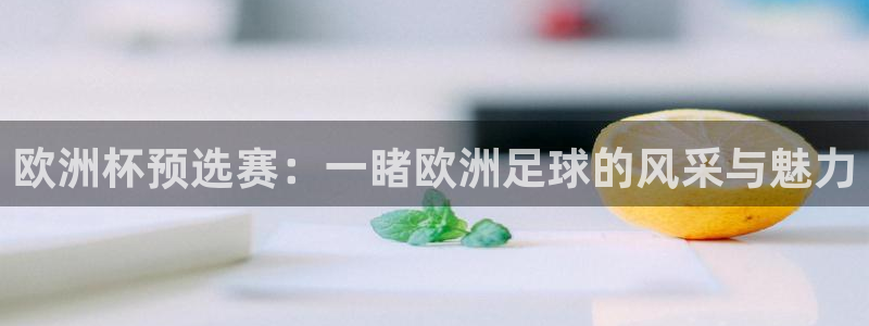 世界杯预选赛排名：欧洲杯预选赛：一睹欧洲足球的风采与魅力