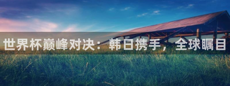 世界杯赛程表：世界杯巅峰对决：韩日携手，全球瞩目