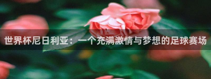 2026年世界杯赛程：世界杯尼日利亚：一个充满激情与梦想的足球赛场