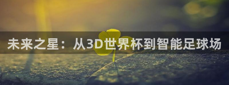 世界杯足球赛2026：未来之星：从3D世界杯到智能足球场