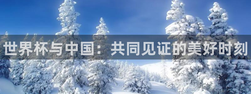 世界杯预选赛欧洲赛区积分榜：世界杯与中国：共同见证的美好时刻