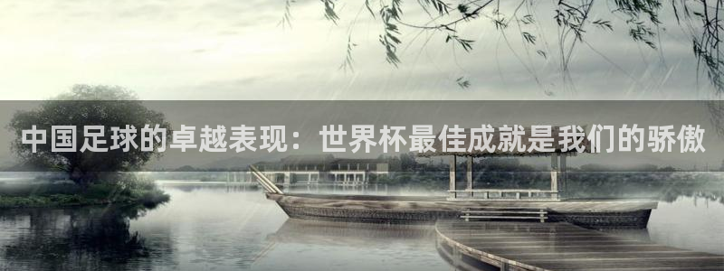 世界杯亚洲区预选赛：中国足球的卓越表现：世界杯最佳成就是我们的骄傲