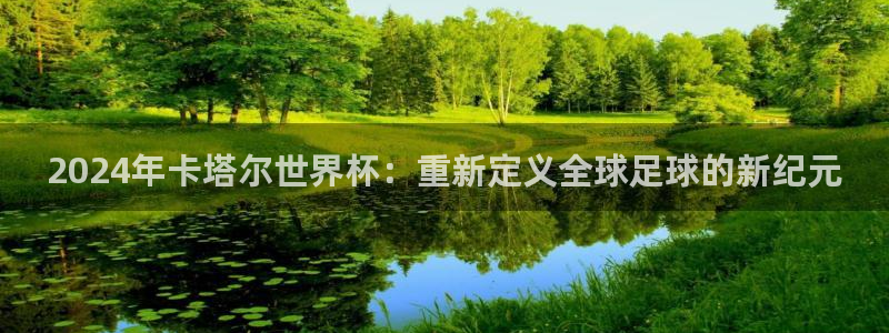 世界杯决赛圈球队：2024年卡塔尔世界杯：重新定义全球足球的新纪元
